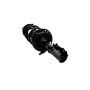 FCS Struts 1333984R Suspension Strut and Coil Spring Assembly