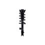 FCS Struts 1333985L Suspension Strut and Coil Spring Assembly