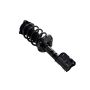 FCS Struts 1333985L Suspension Strut and Coil Spring Assembly