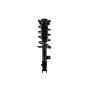 FCS Struts 1333985R Suspension Strut and Coil Spring Assembly