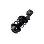 FCS Struts 1334012L Suspension Strut and Coil Spring Assembly