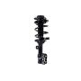FCS Struts 1334012L Suspension Strut and Coil Spring Assembly