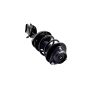FCS Struts 1334012L Suspension Strut and Coil Spring Assembly