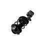 FCS Struts 1334012R Suspension Strut and Coil Spring Assembly