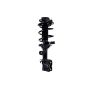 FCS Struts 1334012R Suspension Strut and Coil Spring Assembly
