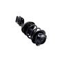 FCS Struts 1334012R Suspension Strut and Coil Spring Assembly