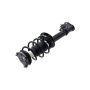 FCS Struts 1334028L Suspension Strut and Coil Spring Assembly