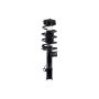 FCS Struts 1334028L Suspension Strut and Coil Spring Assembly