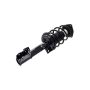 FCS Struts 1334028L Suspension Strut and Coil Spring Assembly