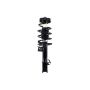 FCS Struts 1334028R Suspension Strut and Coil Spring Assembly