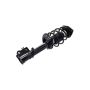FCS Struts 1334028R Suspension Strut and Coil Spring Assembly