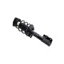 FCS Struts 1334028R Suspension Strut and Coil Spring Assembly