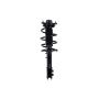FCS Struts 1334047R Suspension Strut and Coil Spring Assembly