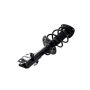 FCS Struts 1334048L Suspension Strut and Coil Spring Assembly