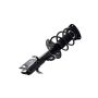 FCS Struts 1334048R Suspension Strut and Coil Spring Assembly