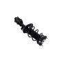 FCS Struts 1334051L Suspension Strut and Coil Spring Assembly