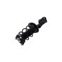 FCS Struts 1334051R Suspension Strut and Coil Spring Assembly