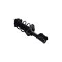 FCS Struts 1334051R Suspension Strut and Coil Spring Assembly