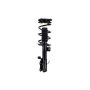FCS Struts 1334053L Suspension Strut and Coil Spring Assembly