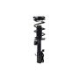 FCS Struts 1334053R Suspension Strut and Coil Spring Assembly