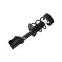 FCS Struts 1334053R Suspension Strut and Coil Spring Assembly