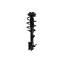 FCS Struts 1334055L Suspension Strut and Coil Spring Assembly