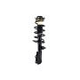 FCS Struts 1334056L Suspension Strut and Coil Spring Assembly