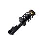 FCS Struts 1334056L Suspension Strut and Coil Spring Assembly