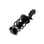 FCS Struts 1334056R Suspension Strut and Coil Spring Assembly