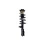 FCS Struts 1334056R Suspension Strut and Coil Spring Assembly