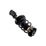 FCS Struts 1334056R Suspension Strut and Coil Spring Assembly