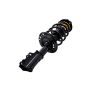 FCS Struts 1334056R Suspension Strut and Coil Spring Assembly