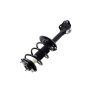 FCS Struts 1334057L Suspension Strut and Coil Spring Assembly