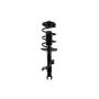 FCS Struts 1334057L Suspension Strut and Coil Spring Assembly