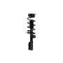 FCS Struts 1334058L Suspension Strut and Coil Spring Assembly