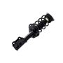FCS Struts 1334058L Suspension Strut and Coil Spring Assembly