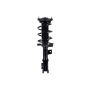 FCS Struts 1334069R Suspension Strut and Coil Spring Assembly