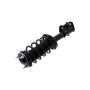 FCS Struts 1334075L Suspension Strut and Coil Spring Assembly