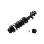 FCS Struts 1334076L Suspension Strut and Coil Spring Assembly