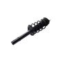 FCS Struts 1334077R Suspension Strut and Coil Spring Assembly