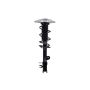 FCS Struts 1334079L Suspension Strut and Coil Spring Assembly
