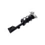 FCS Struts 1334079L Suspension Strut and Coil Spring Assembly