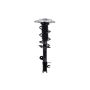 FCS Struts 1334079R Suspension Strut and Coil Spring Assembly