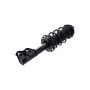 FCS Struts 1334086L Suspension Strut and Coil Spring Assembly