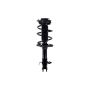 FCS Struts 1334089L Suspension Strut and Coil Spring Assembly