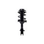 FCS Struts 1334090L Suspension Strut and Coil Spring Assembly