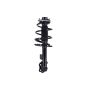 FCS Struts 1334099L Suspension Strut and Coil Spring Assembly