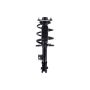 FCS Struts 1334099L Suspension Strut and Coil Spring Assembly