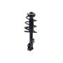 FCS Struts 1334099R Suspension Strut and Coil Spring Assembly
