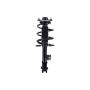FCS Struts 1334099R Suspension Strut and Coil Spring Assembly